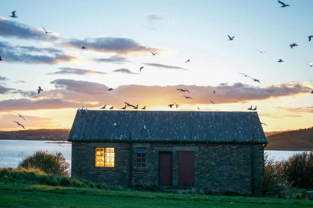 photo of a small stone building, light in the window, sunset sky, sea birds in flight